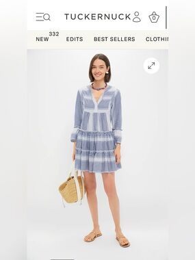 Tuckernuck Blue & White Tiered V-Neck Mini Dress